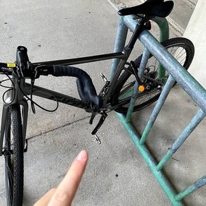 2020 Giant Revolt 2 Silver, gray or bare metal