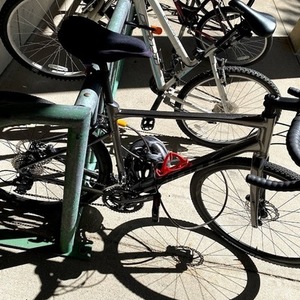 2020 Giant Revolt 2 Silver, gray or bare metal