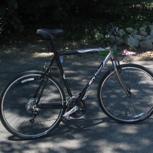 2006 Gary Fisher Zebrano Silver or Gray and Black