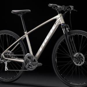 2022 Trek Dual sport 2 Silver, gray or bare metal