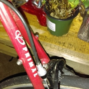 Novara Divano White and Red