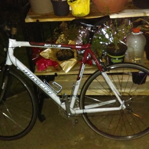 Novara Divano White and Red