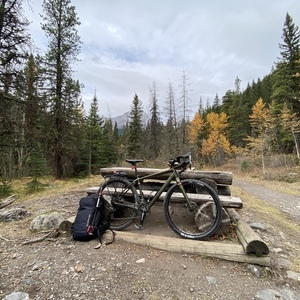 2019 Salsa Journeyman Green