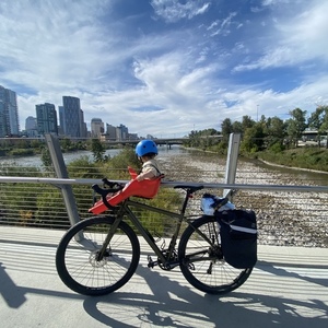 2019 Salsa Journeyman Green