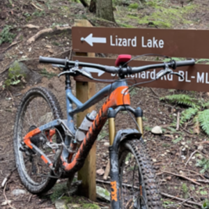 2017 Niner Jet 9RDO Orange