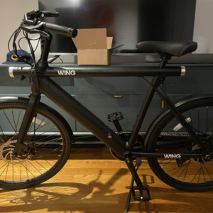 2022 WING BIKES FREEDOM X Black