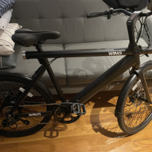 2022 WING BIKES FREEDOM X Black