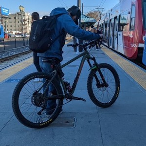 2019 Salsa Timberjack Green