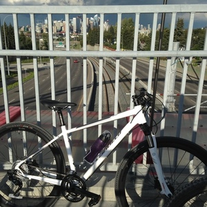 2015 Specialized Ariel White