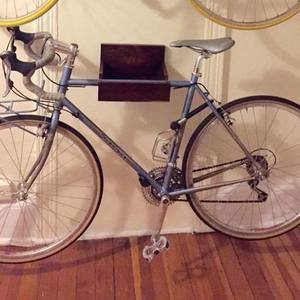 2012 Salsa Casseroll Blue and Silver or Gray