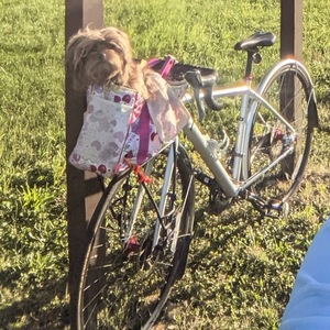 2016 Trek Crossrip Comp Silver, gray or bare metal