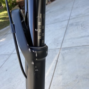 2020 Norco Bikes Optic Green