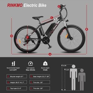 2021 Rinkmo 26'' wheel with 250W motor mountain bike Black