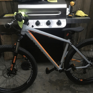 2020 Nishiki Silver, gray or bare metal and Orange