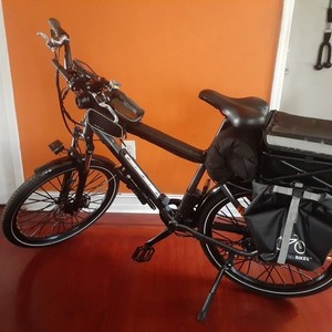 2019 Rad Power Bikes 19" frane Silver, gray or bare metal