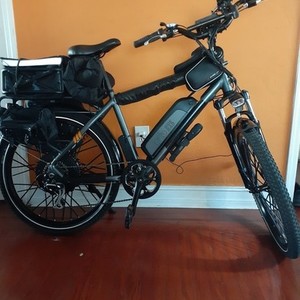 2019 Rad Power Bikes 19" frane Silver, gray or bare metal