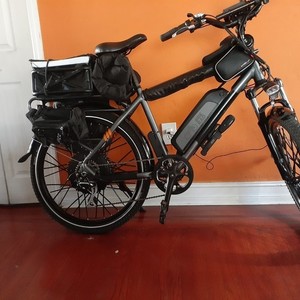 2019 Rad Power Bikes 19" frane Silver, gray or bare metal