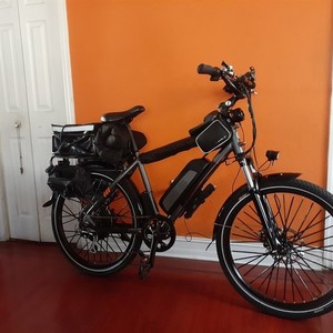 2019 Rad Power Bikes 19" frane Silver, gray or bare metal