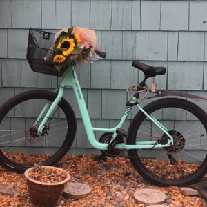 2018 Specialized SKU:86119-6603 Green