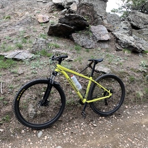 2021 Cannondale Trail 8 Yellow or Gold