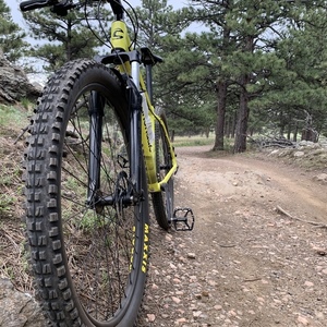 2021 Cannondale Trail 8 Yellow or Gold