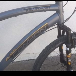 Canyon bicycles Mountain bike Silver, gray or bare metal, Black, and Yellow or Gold