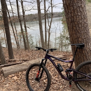 2020 Giant Trance Purple