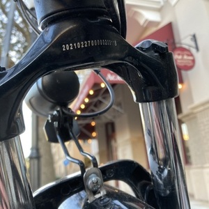 2022 Rad Power Bikes RadCity Electric Commuter Bike Version 4 Black