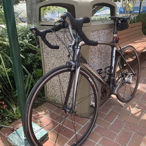 2007 Trek Madone SL 5.2 Silver, gray or bare metal