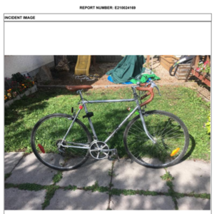 Free Spirit Racer-Style Silver, gray or bare metal