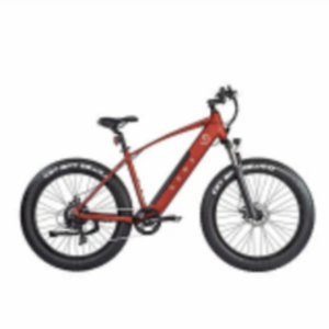 2022 Gen X Gen 3 Ride Red