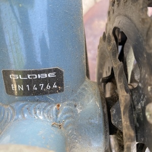 2010 Globe Carmel 03 Blue