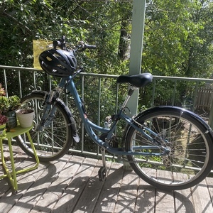 2010 Globe Carmel 03 Blue