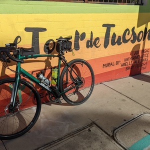 2019 Diamondback Century 2 Green