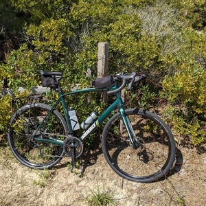 2019 Diamondback Century 2 Green