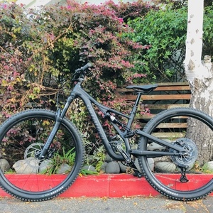 2021 Specialized Stumpjumper Alloy Black