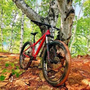 2019 Salsa Timberjack Red