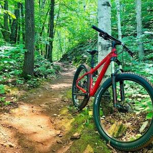 2019 Salsa Timberjack Red