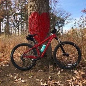 2019 Salsa Timberjack Red