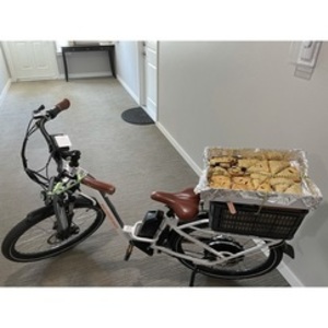 Rad Power Bikes RadCity Step-Thru White