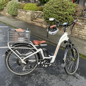 Rad Power Bikes RadCity Step-Thru White