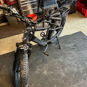 2021 Rad Power Bikes RadRover 6 Plus Silver, gray or bare metal