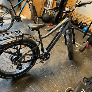 2021 Rad Power Bikes RadRover 6 Plus Silver, gray or bare metal