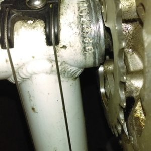 Novara Divano White, Red, and Black