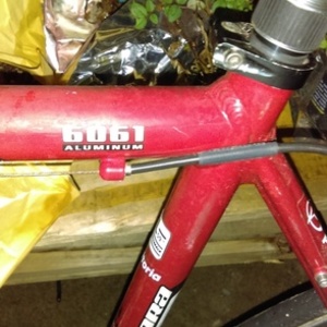 Novara Divano White, Red, and Black