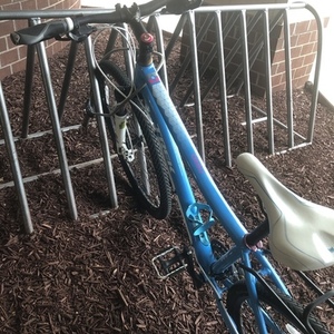 2015 Trek Neko SL Blue