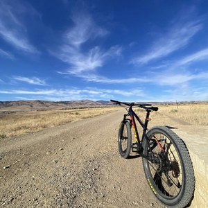 2020 Trek ROSCOE 8 Black