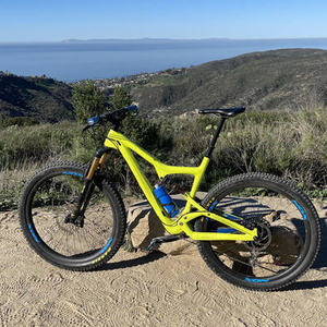 2017 Ibis Ripley LS Yellow or Gold