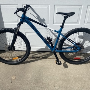 2010 Rocky Mountain Bicycles Soul Blue