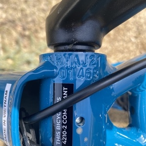 2010 Rocky Mountain Bicycles Soul Blue